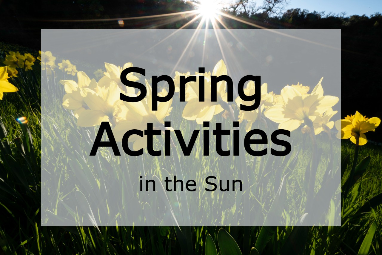 Spring Activities in the Sun